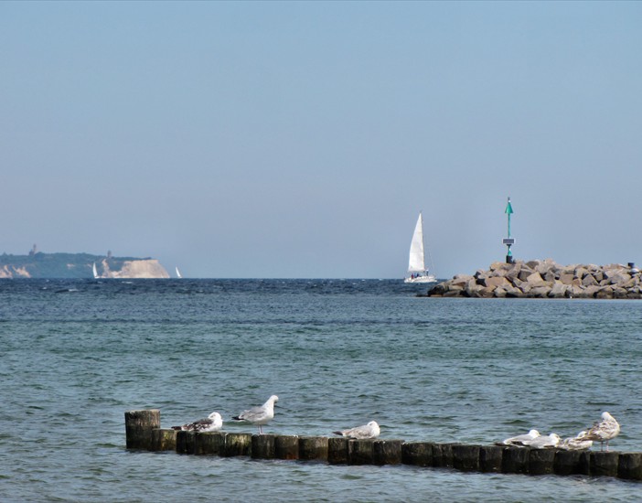IMG_1303_pt